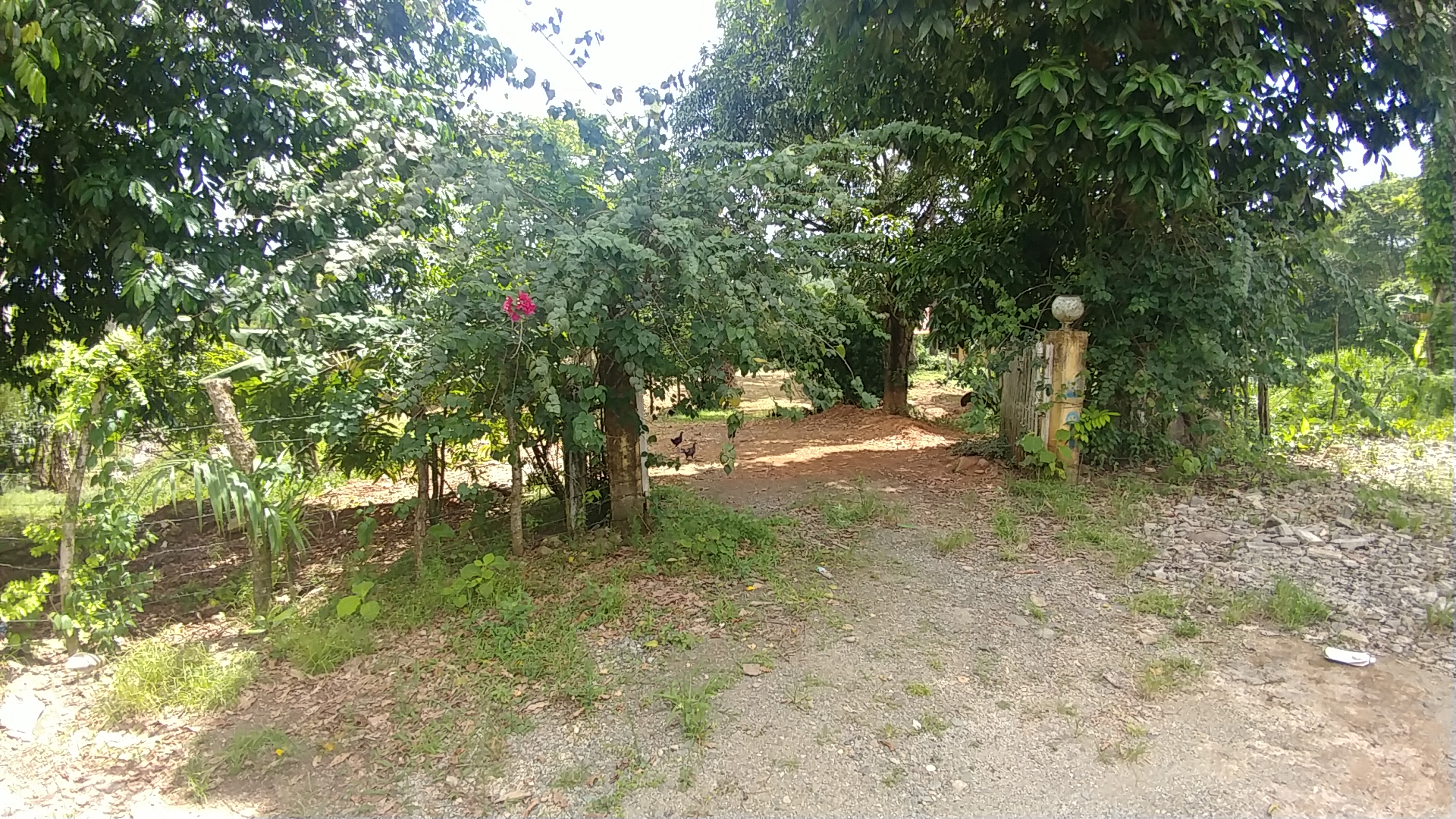 Gran oportunidad Solar con casa para remodelar en Estancias Yuboa en República Dominicana
